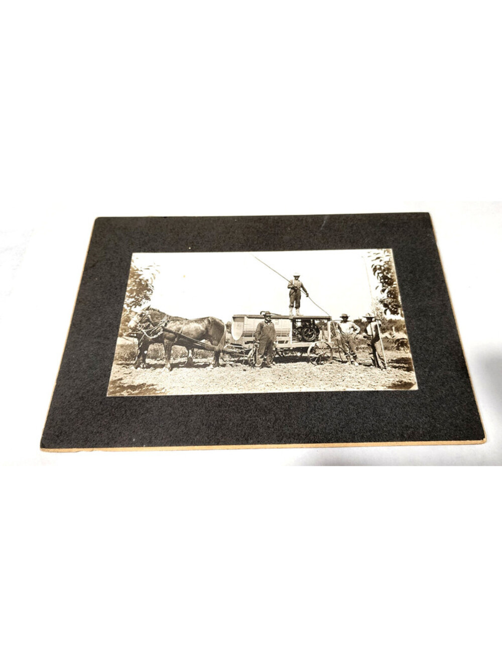 Antique 1900 Photo 5x3 Horse Drawn Motorized Orchard Spray Rig Wagon Engine Farm